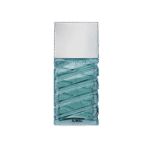 PERFUME VISION100ml FOR MEN By Ajmal